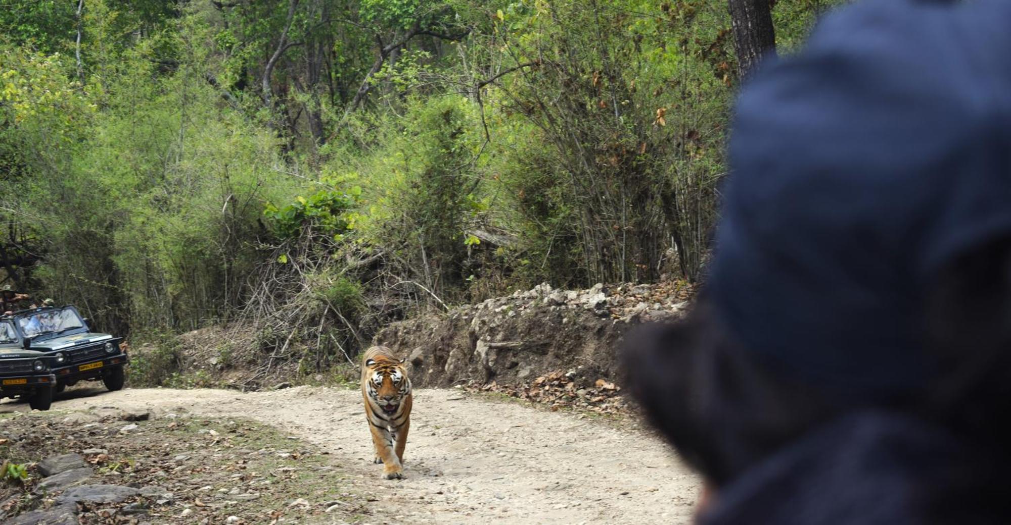 Athulyam Kanha, Kanha National Park, Mukki Gate Khapa  Exterior photo